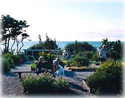 Krusmynta Herbal Garden