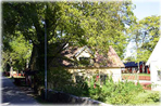 Turkduva
