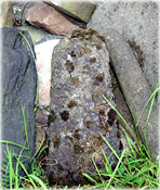 Myrmalm