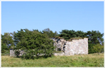 Fridarve - slottet på Hule hällar
