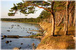 En sträcka kust