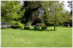 Ett andningshål - Botaniska trädgården