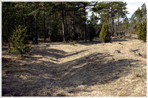 Ekeskogs fornborg