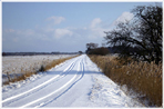 Vinter i vrldens vackraste land