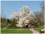 Våren 2006