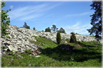Upptäck Gotland
