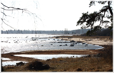 Badstranden vid Hammars fiskelge i Norrlanda