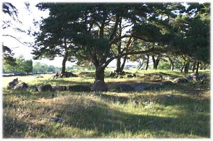 Gotland, Avair Strabain - foto: Carin Olofsson