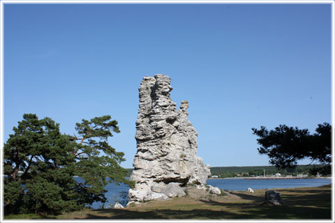 Jungfrun i Lickershamn, Gotlands högsta rauk