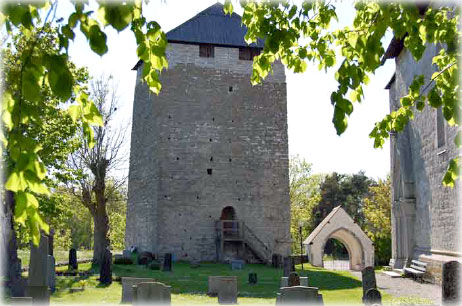 Gotland, Vandring med Roger Gahnertz - foto: 0