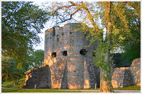 Silverhättan eller Kames - foto: Bernt Enderborg