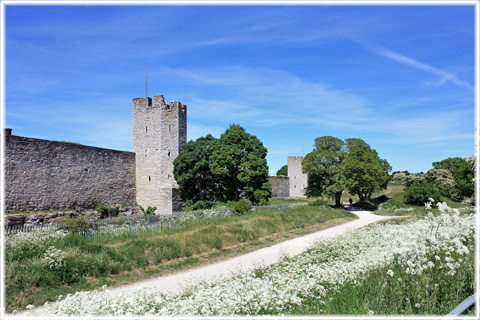 Vykort Gotland