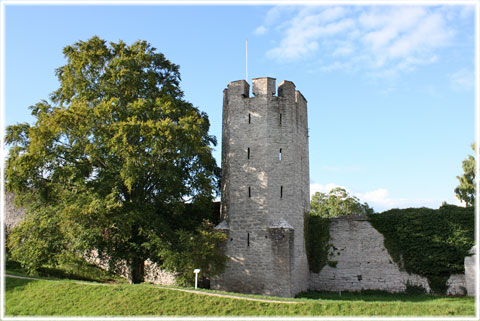 Gotland, Långa Lisa - foto: Bernt Enderborg