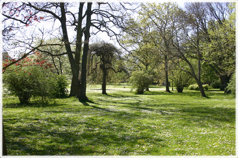 Gotland, Paviljongsplan - foto: Bernt Enderborg