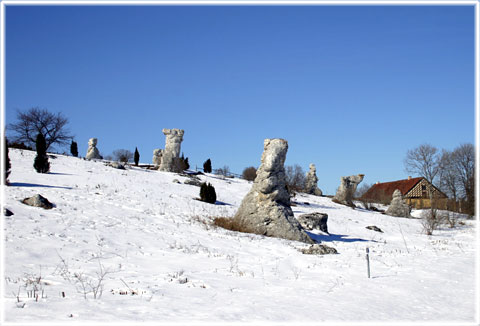 Gotland, Raukar vid Kyllaj - foto: Bernt Enderborg