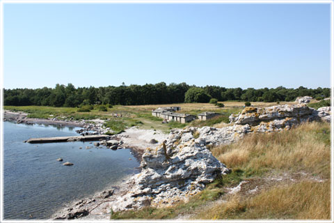 Fiskelgen p Gotland - foto: Bernt Enderborg