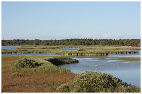 Gotland, Storsund - foto: Bernt Enderborg