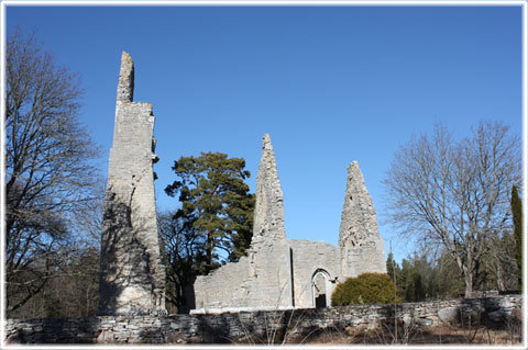 foto av Bara dekyrka