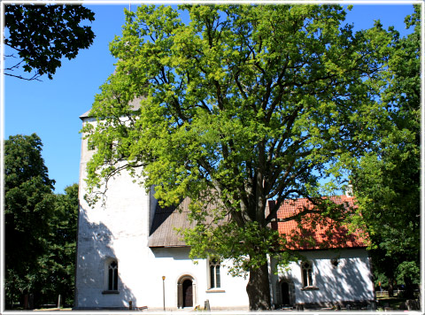 Buttle kyrka