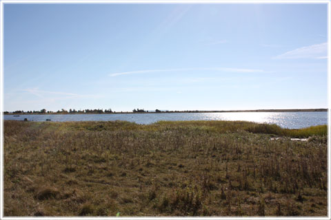 Gotland, Vivesholm - foto: Bernt Enderborg