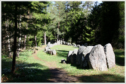 Gotland, Skeppsättningar i Ansarve hage - foto: Bernt Enderborg