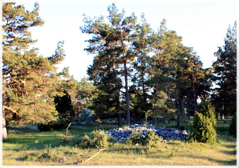Gålrum, ett gravfält i Alskog