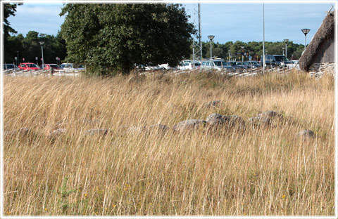 Gotland, Annelund gravfält - foto: Bernt Enderborg