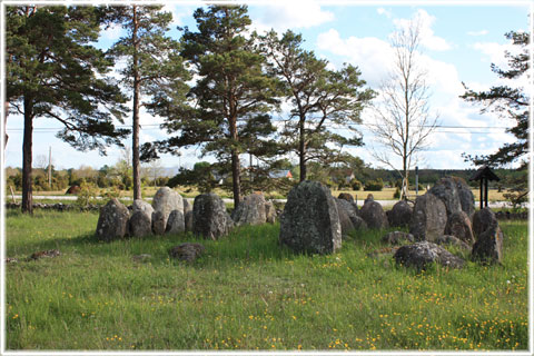 Gotland, Domarlunden - foto: Bernt Enderborg