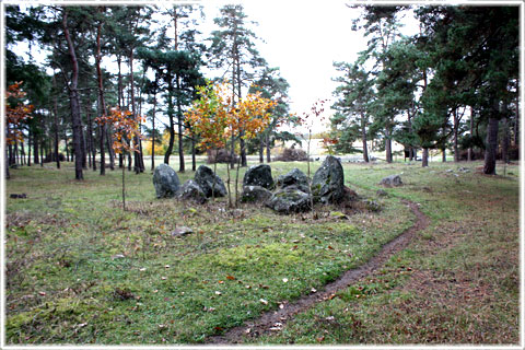 Gotland, Lilla Bjers - foto: Bernt Enderborg