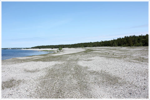 Grodde naturreservat