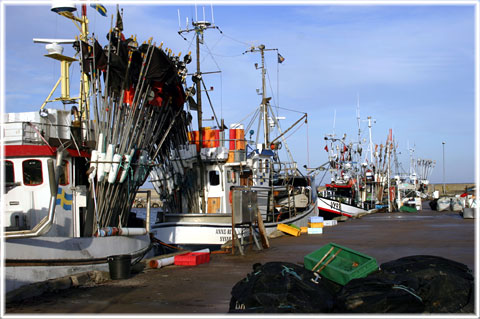 Herrvik, hamn, stergarn, Gotland