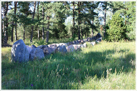 Gotland, Gräne skeppssättning - foto: Bernt Enderborg