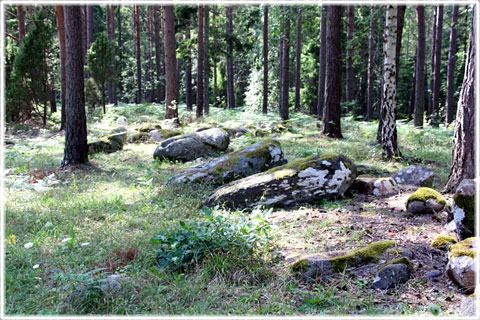 Gotland, Djaurmänni, djurmännen - foto: Bernt Enderborg