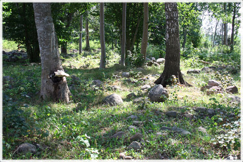 Ett gravfält i Sanda - foto: Bernt Enderborg