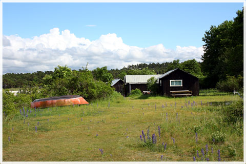 Vykort Gotland