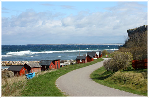 Gotland, Hallshuks fiskeläge - foto: Bernt Enderborg