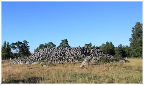 Gotland, Snoder stenröse - foto: Bernt Enderborg