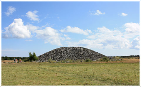 Gotland, Uggarde rojr - foto: Bernt Enderborg