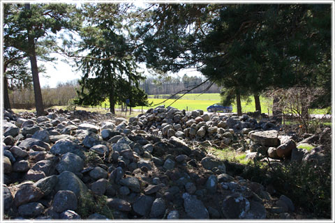 Gotland, Bjärs gravfält i Hejnum - foto: Bernt Enderborg