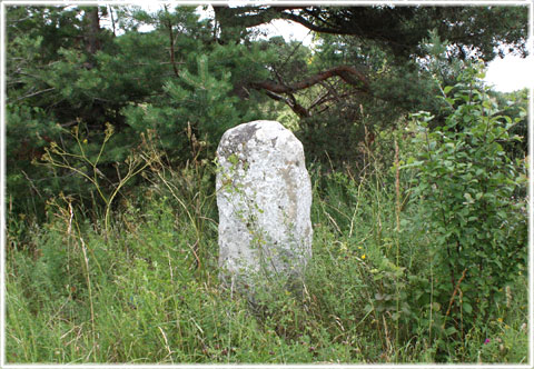 Gotland, En vägsten från 1782 - foto: Bernt Enderborg