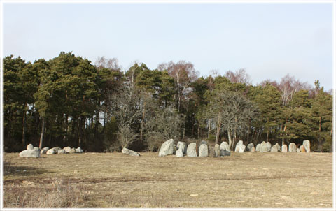 Gotland, Bandeläins täppu - foto: Bernt Enderborg