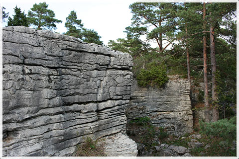 Vykort Gotland