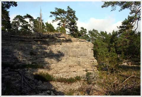 Gotlands berggrund