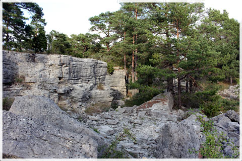 Vykort Gotland