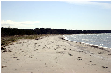 Gotland, Bottarvestranden eller Gustavs - foto: Bernt Enderborg