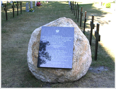 Fångar i Bergen-Belsen och Auschwitz