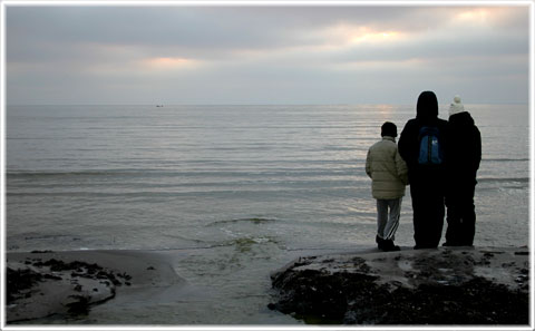 Gotland, Vad är det frågan om - foto: Bernt Enderborg