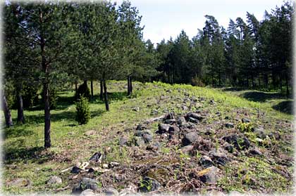 Gotland, Viklau fornborg - foto: Bernt Enderborg