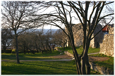Ruiner vid Visborgs slott