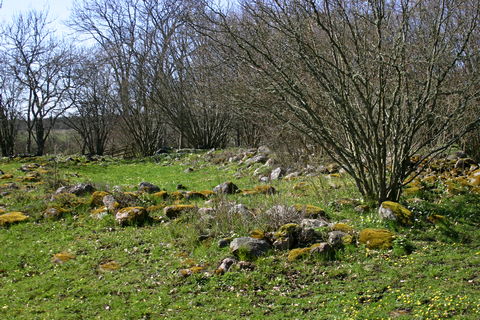 Gotland, Stabbgard - foto: Bernt Enderborg